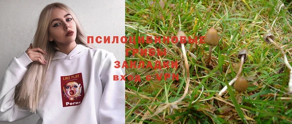 дмт Верхний Тагил