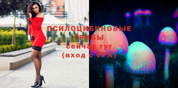 СК Верея