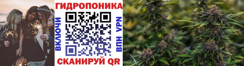 МАРИХУАНА план  Купить закладки  Сосногорск 